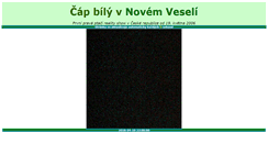 Desktop Screenshot of capi.noveveseli.cz